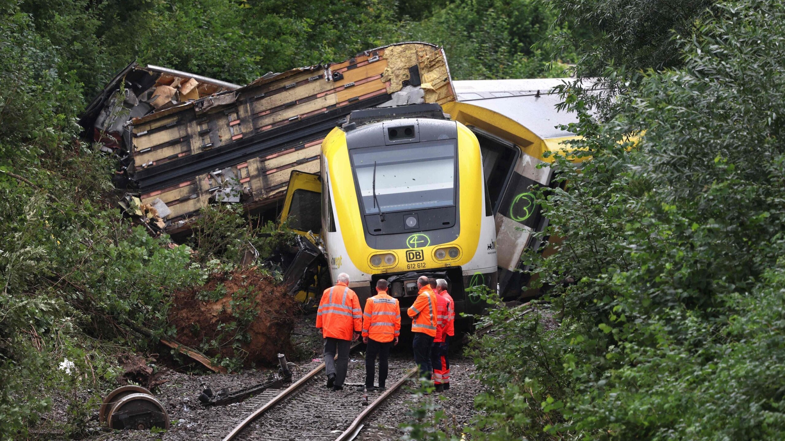Emergency teams with sniffer dogs search overturned carriages near Riedlingen after fatal landslide derailment.