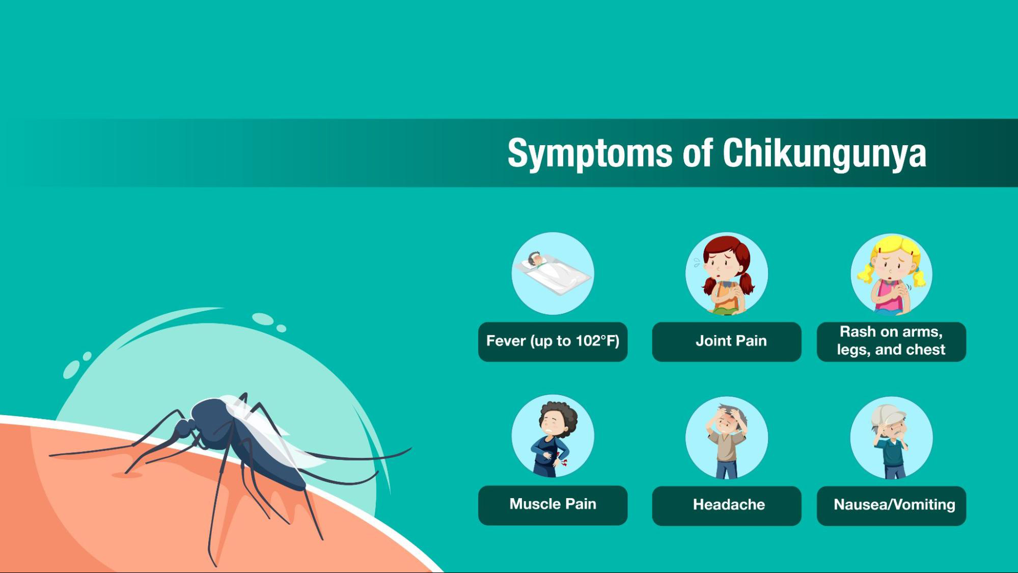 Symptoms of Chikungunya